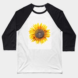 Large single bright Sunflower bloom Baseball T-Shirt